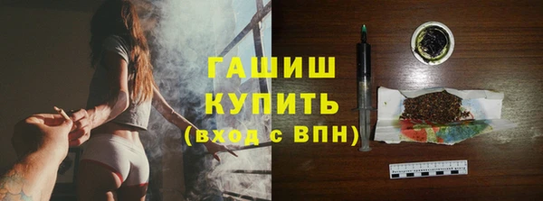 индика Вязьма