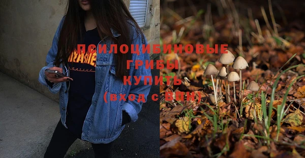 a pvp Вяземский