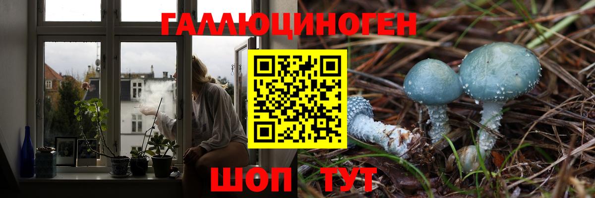 Галлюциногенные грибы MAGIC MUSHROOMS  Псилоцибиновые грибы прущие грибы  Выборг  Вход с VPN 
